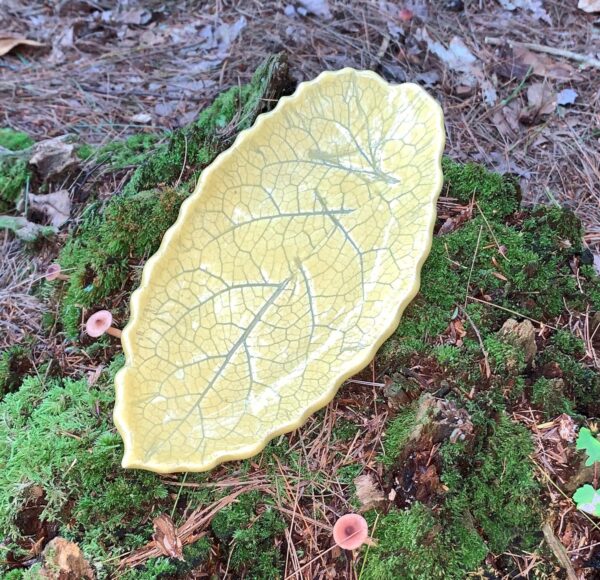 Marigold celadon leaf