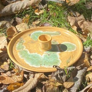 Funky Turtle Cheese Plate